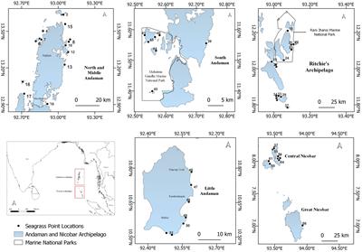 Spatial diversity and habitat characteristics of seagrass meadows with management recommendations in the Andaman and Nicobar Islands, India
